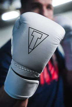 TITLE Boxing Momentum Pro Training Gloves