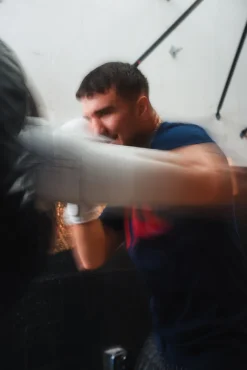 TITLE Boxing Momentum Pro Training Gloves