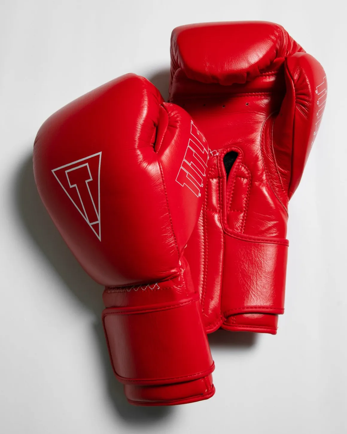 TITLE Boxing Momentum Pro Training Gloves