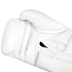 TITLE Boxing Momentum Pro Training Gloves