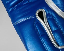 TITLE Boxing Momentum Pro Training Gloves