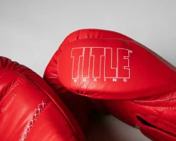 TITLE Boxing Momentum Pro Training Gloves