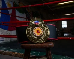 TITLE Boxing Old School Title Belt