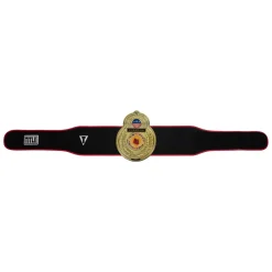 TITLE Boxing Old School Title Belt