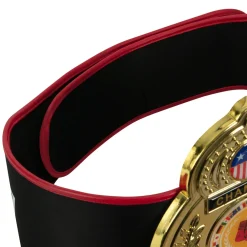 TITLE Boxing Old School Title Belt
