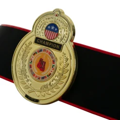 TITLE Boxing Old School Title Belt
