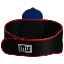 TITLE Boxing Old School Title Belt