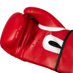 TITLE Boxing Peak Bag Boxing Gloves