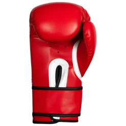 TITLE Boxing Peak Bag Boxing Gloves