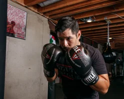 TITLE Boxing Peak Bag Boxing Gloves
