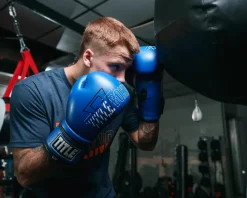TITLE Boxing Peak Training Boxing Gloves
