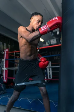 TITLE Boxing Power Stance Resistance Bands