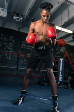 TITLE Boxing Power Stance Resistance Bands