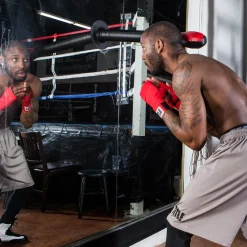 TITLE Boxing Precision Slip Stick