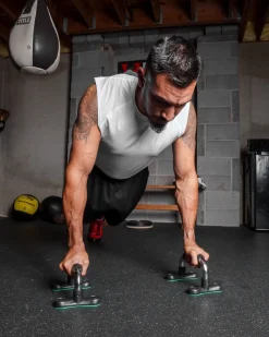 TITLE Boxing Push Up Bars 2.0