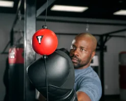 TITLE Boxing Quick Puncher 2.0