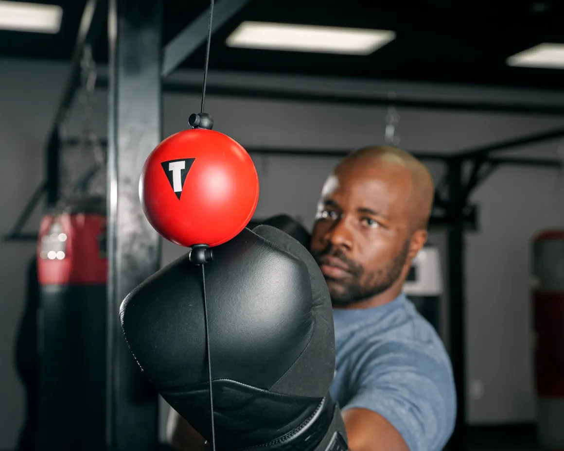 TITLE Boxing Quick Puncher 2.0
