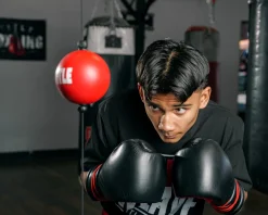 TITLE Boxing Quick Puncher 2.0