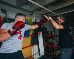 TITLE Boxing Retro Old School Punch Mitts