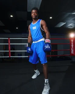 TITLE Boxing Stinger Reversible Amateur Boxing Set
