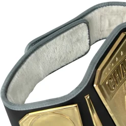 TITLE Boxing Undisputed Championship Belt