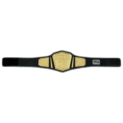 TITLE Boxing Undisputed Championship Belt