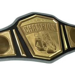TITLE Boxing Undisputed Championship Belt