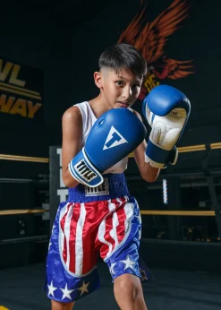 TITLE Boxing USA Trunks 4.0