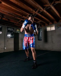 TITLE Boxing USA Trunks 4.0