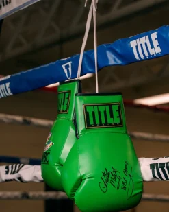 TITLE Boxing WBC Autograph Gloves 2.0