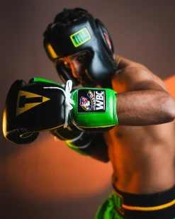 TITLE Boxing WBC Sparring Gloves