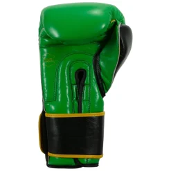 TITLE Boxing WBC Training Gloves
