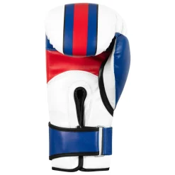 TITLE Boxing World Bag Boxing Gloves