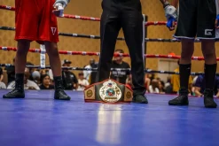 TITLE Boxing World Championship Title Belt