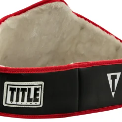 TITLE Boxing World Championship Title Belt