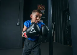 TITLE Classic Boxing Gloves