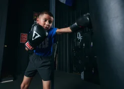 TITLE Classic Boxing Gloves