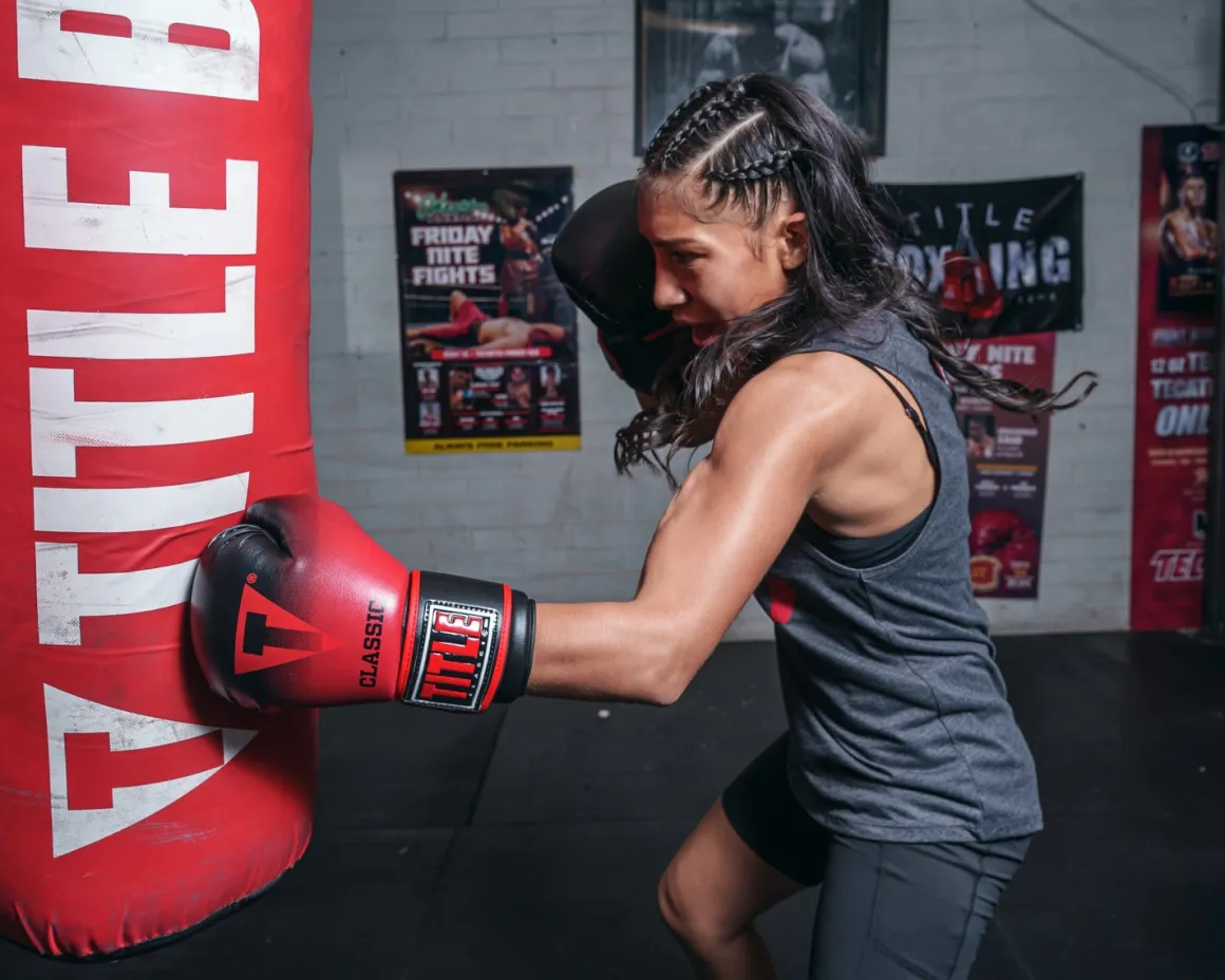 TITLE Classic Crusade Boxing Gloves