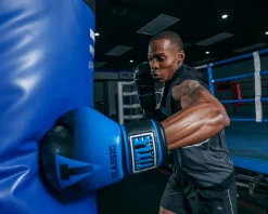 TITLE Classic Crusade Boxing Gloves