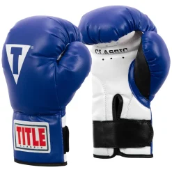 TITLE Classic Kid & Youth Boxing Gloves 2.0