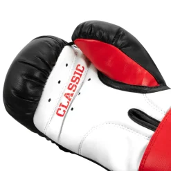 TITLE Classic Kid & Youth Boxing Gloves 2.0