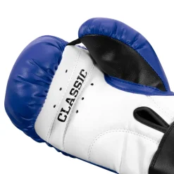 TITLE Classic Kid & Youth Boxing Gloves 2.0