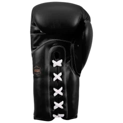TITLE Classic Leather Lace Training Boxing Gloves 2.0