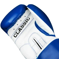 TITLE Classic Pro Style Training Boxing Gloves 3.0
