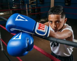 TITLE Classic Pro Style Training Boxing Gloves 3.0