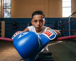 TITLE Classic Pro Style Training Boxing Gloves 3.0