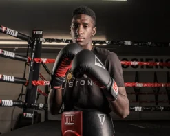 TITLE Classic Retaliate Boxing Gloves