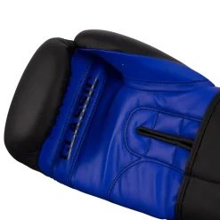 TITLE Classic Retaliate Boxing Gloves