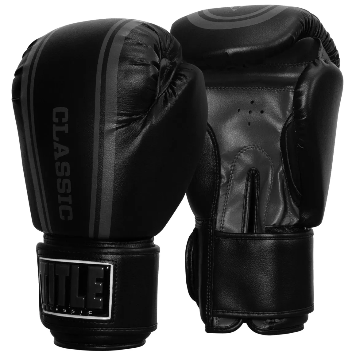 TITLE Classic Speed Boxing Gloves