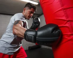TITLE Classic Speed Boxing Gloves